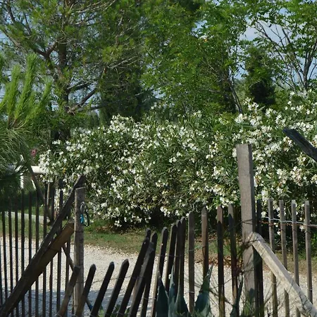 Bergerie D'alivon En Camargue Bed & Breakfast Albaron