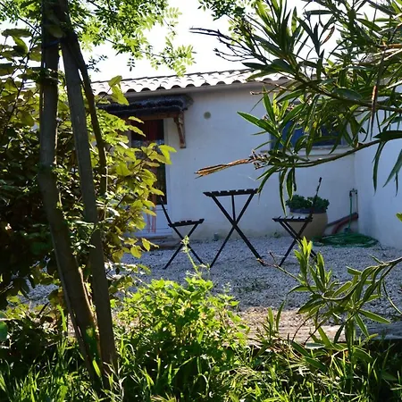 Bergerie D'alivon En Camargue Bed & Breakfast *