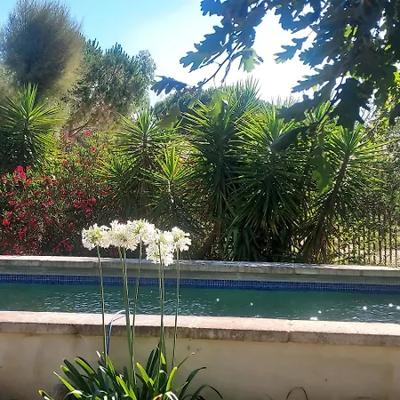 Bergerie D'alivon En Camargue Bed & Breakfast Arles