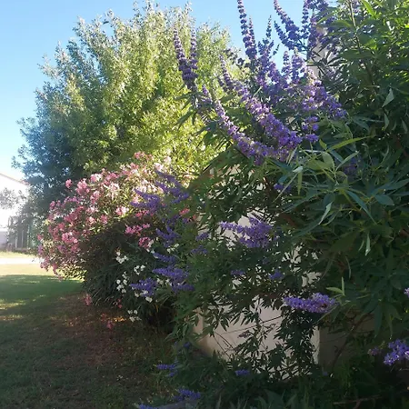 Bergerie D'alivon En Camargue Bed & Breakfast