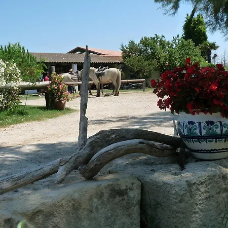 Bergerie D'alivon En Camargue Albaron