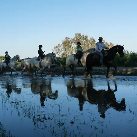 Bed & Breakfast Bergerie D'alivon En Camargue