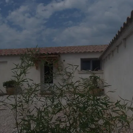 Bed & Breakfast Bergerie D'alivon En Camargue Albaron