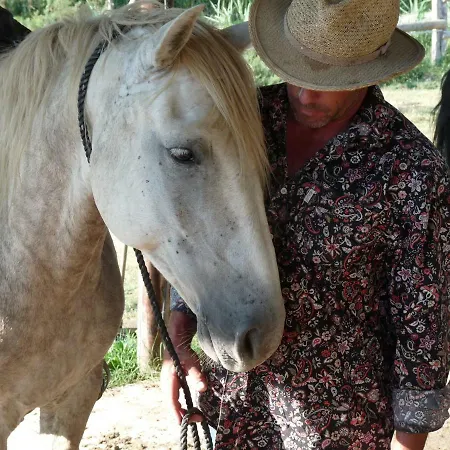 Bergerie D'alivon En Camargue Albaron
